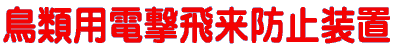 ސpdCVbN